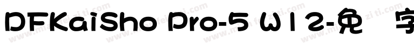 DFKaiSho Pro-5 W12字体转换